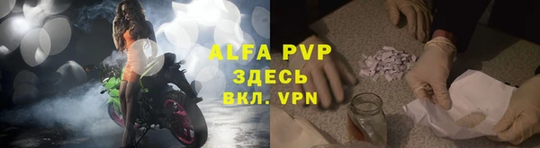 мяу мяу мука Вяземский