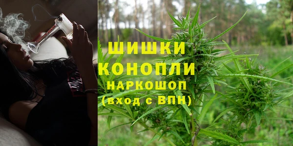 мяу мяу мука Вяземский