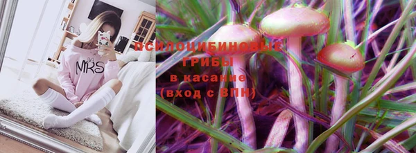 мяу мяу мука Вяземский